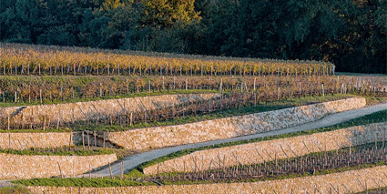 Chateau Tour Saint Christophe Terrassen